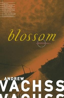 Blossom - Andrew Vachss - cover
