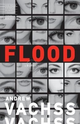 Flood - Andrew Vachss - cover
