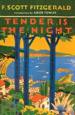 TENDER IS THE NIGHT - F. Scott Fitzgerald - cover