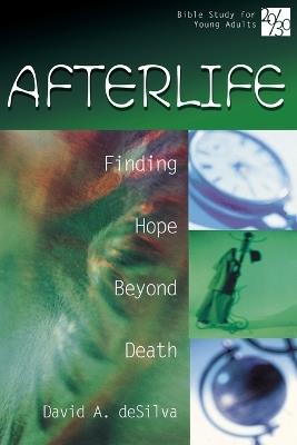 Afterlife: Finding Hope Beyond Death - David A. DeSilva - cover