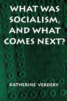 What Was Socialism, and What Comes Next? - Katherine Verdery - cover