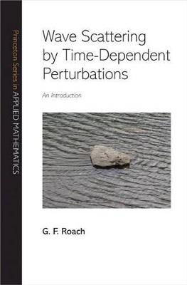 Wave Scattering by Time-Dependent Perturbations: An Introduction - G. F. Roach - cover