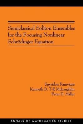 Semiclassical Soliton Ensembles for the Focusing Nonlinear Schroedinger Equation (AM-154) - Spyridon Kamvissis,Kenneth D.T-R McLaughlin,Peter D. Miller - cover