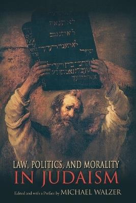 Law, Politics, and Morality in Judaism - cover