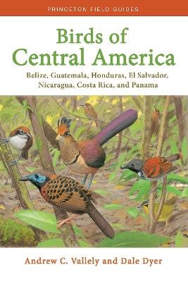 Birds of Central America: Belize, Guatemala, Honduras, El Salvador, Nicaragua, Costa Rica, and Panama - Andrew Vallely,Dale Dyer - cover