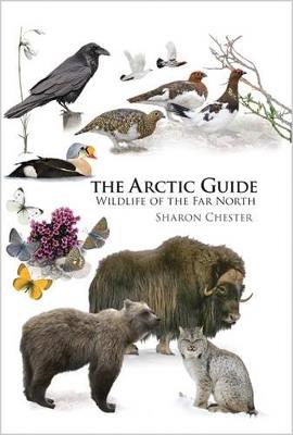 The Arctic Guide: Wildlife of the Far North - Sharon Chester - cover
