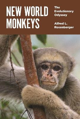 New World Monkeys: The Evolutionary Odyssey - Alfred L. Rosenberger - cover