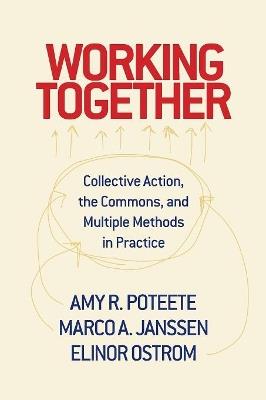 Working Together: Collective Action, the Commons, and Multiple Methods in Practice - Amy R. Poteete,Marco A. Janssen,Elinor Ostrom - cover