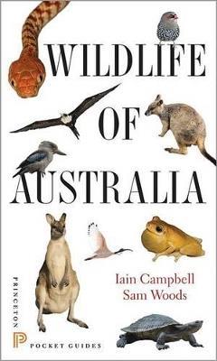 Wildlife of Australia - Iain Campbell,Sam Woods - cover