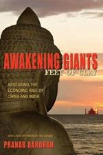Awakening Giants, Feet of Clay: Assessing the Economic Rise of China and India