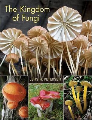 The Kingdom of Fungi - Jens H. Petersen - cover
