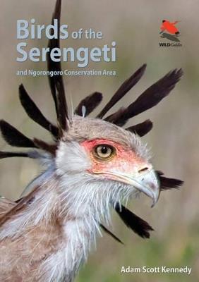 Birds of the Serengeti: And Ngorongoro Conservation Area - Adam Scott Kennedy - cover