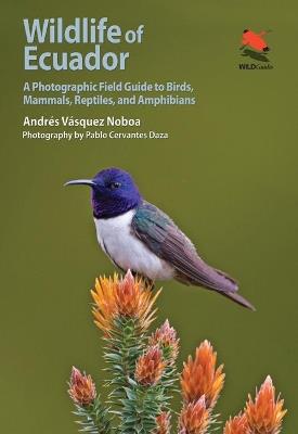 Wildlife of Ecuador: A Photographic Field Guide to Birds, Mammals, Reptiles, and Amphibians - Andrés Vásquez Noboa - cover