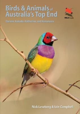 Birds and Animals of Australia's Top End: Darwin, Kakadu, Katherine, and Kununurra - Nick Leseberg,Iain Campbell - cover