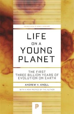 Life on a Young Planet: The First Three Billion Years of Evolution on Earth - Updated Edition - Andrew H. Knoll - cover