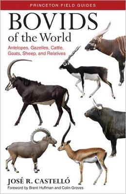 Bovids of the World: Antelopes, Gazelles, Cattle, Goats, Sheep, and Relatives - José R. Castelló - cover