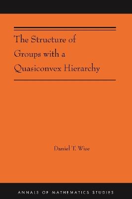 The Structure of Groups with a Quasiconvex Hierarchy: (AMS-209) - Daniel T. Wise - cover