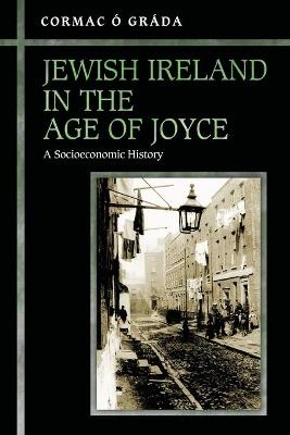 Jewish Ireland in the Age of Joyce: A Socioeconomic History - Cormac O Grada - cover