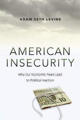American Insecurity: Why Our Economic Fears Lead to Political Inaction - Adam Seth Levine - cover