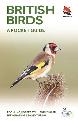 British Birds: A Pocket Guide - Rob Hume,Robert Still,Andy Swash - cover