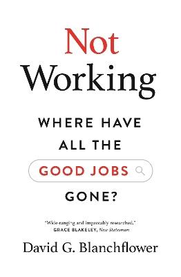 Not Working: Where Have All the Good Jobs Gone? - David G. Blanchflower - cover