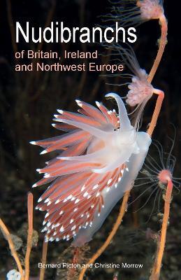 Nudibranchs of Britain, Ireland and Northwest Europe: Second Edition - Bernard Picton,Christine Morrow - cover