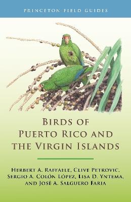 Birds of Puerto Rico and the Virgin Islands: Fully Revised and Updated Third Edition - Herbert A. Raffaele,Clive Petrovic,Sergio A. Colón López - cover