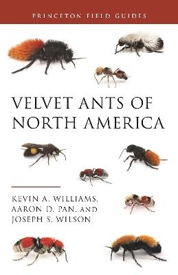 Velvet Ants of North America - Kevin Williams,Aaron D. Pan,Joseph S. Wilson - cover