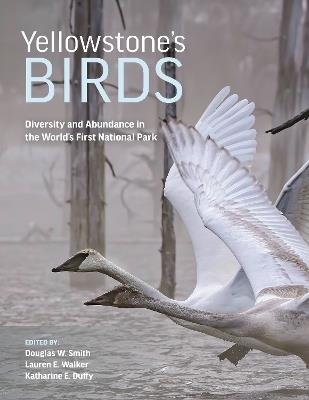 Yellowstone’s Birds: Diversity and Abundance in the World’s First National Park - cover