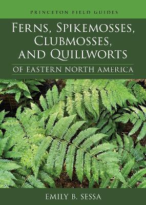 Ferns, Spikemosses, Clubmosses, and Quillworts of Eastern North America - Emily Sessa - cover