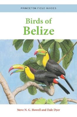 Birds of Belize - Steve N. G. Howell,Dale Dyer - cover