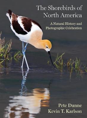 The Shorebirds of North America: A Natural History and Photographic Celebration - Pete Dunne,Kevin T. Karlson - cover