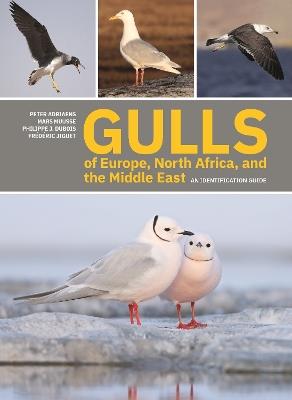Gulls of Europe, North Africa, and the Middle East: An Identification Guide - Peter Adriaens,Mars Muusse,Philippe J. Dubois - cover