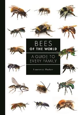 Bees of the World: A Guide to Every Family - Laurence Packer - cover
