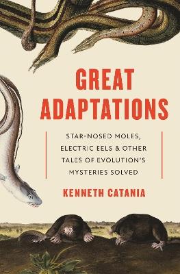 Great Adaptations: Star-Nosed Moles, Electric Eels, and Other Tales of Evolution's Mysteries Solved - Kenneth Catania - cover