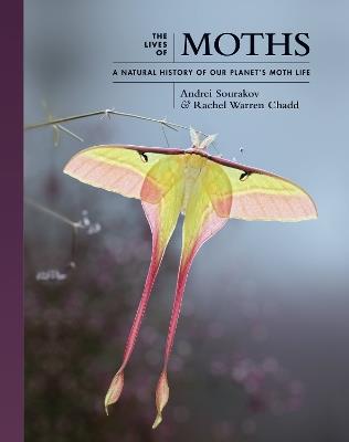 The Lives of Moths: A Natural History of Our Planet's Moth Life - Andrei Sourakov,Rachel Warren Chadd - cover