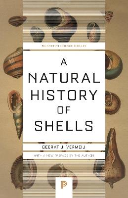 A Natural History of Shells - Geerat Vermeij - cover