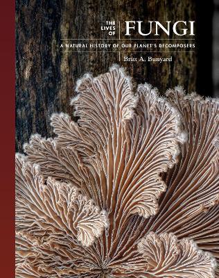 The Lives of Fungi: A Natural History of Our Planet's Decomposers - Britt A. Bunyard - cover