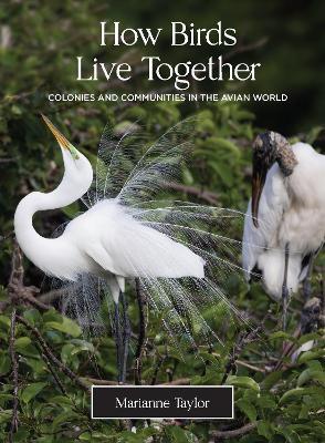 How Birds Live Together: Colonies and Communities in the Avian World - Marianne Taylor - cover