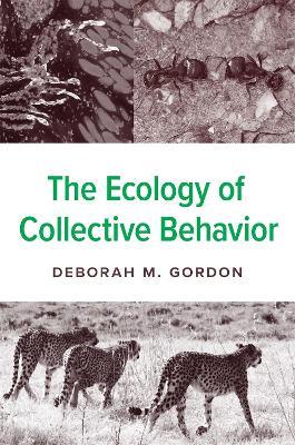 The Ecology of Collective Behavior - Deborah M. Gordon - cover