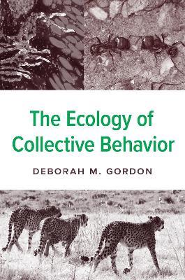 The Ecology of Collective Behavior - Deborah M. Gordon - cover