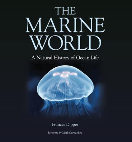 The Marine World