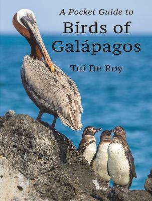 A Pocket Guide to Birds of Galápagos - Tui De Roy - cover