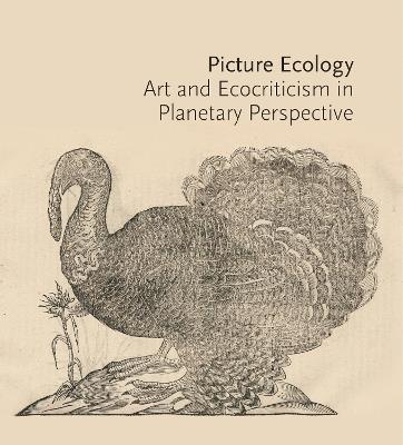 Picture Ecology: Art and Ecocriticism in Planetary Perspective - cover