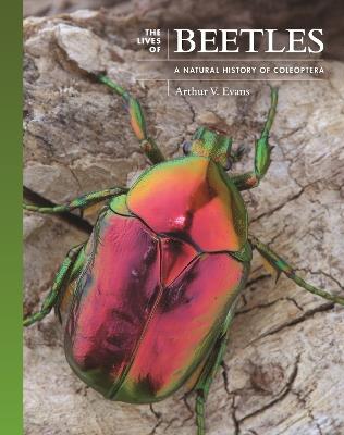 The Lives of Beetles: A Natural History of Coleoptera - Arthur V. Evans - cover