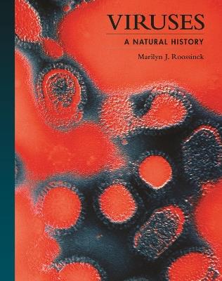 Viruses: A Natural History - Marilyn J. Roossinck - cover