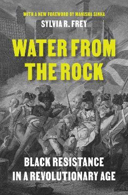 Water from the Rock: Black Resistance in a Revolutionary Age - Sylvia R. Frey - cover