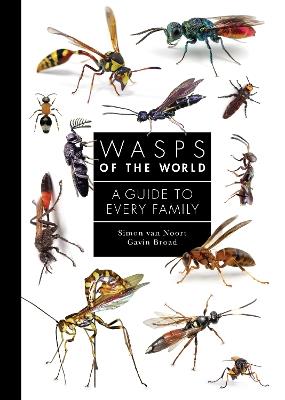 Wasps of the World: A Guide to Every Family - Simon van Noort,Gavin Broad - cover