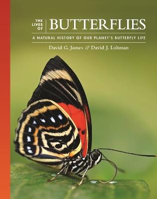 The Lives of Butterflies: A Natural History of Our Planet's Butterfly Life - David G. James,David J. Lohman - cover