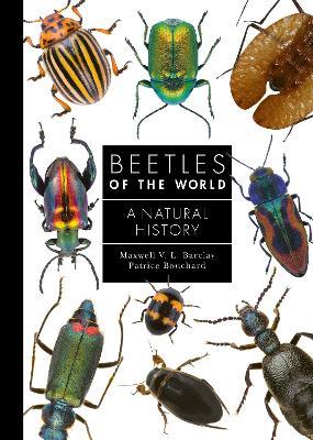 Beetles of the World: A Natural History - Maxwell V. L. Barclay,Patrice Bouchard - cover